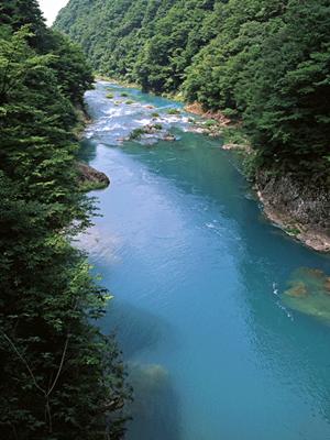 福岡でゴルフレッスンを受けてみたい人に