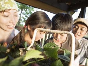 社内サークルで活用できる格安スキー合宿