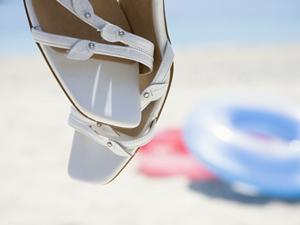 フェレットと触れ合える横浜のカフェ