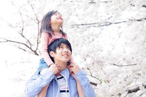 山口県岩国市にある東横INN岩国駅西口の魅力と利用ガイド:快適なビジネス・観光ステイを実現