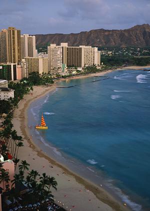 動物に触れられるカワウソカフェ