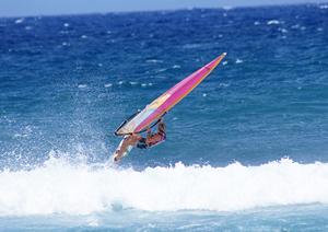 原宿でも人気が高まるチンチラカフェ