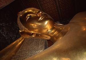 豊かな自然に囲まれてのんびり過ごせます