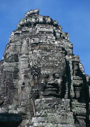 今女性の間で流行っているらしい
