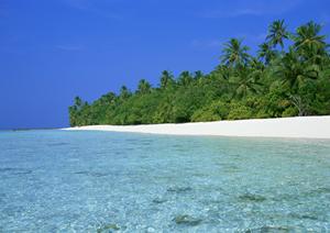 静岡県掛川市のビジネスホテル：東横INN掛川駅新幹線南口の魅力と特徴