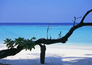 ひたちなか市の旅館は宿泊プランが魅力