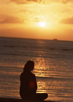 東京では四季折々の屋形船プランがある